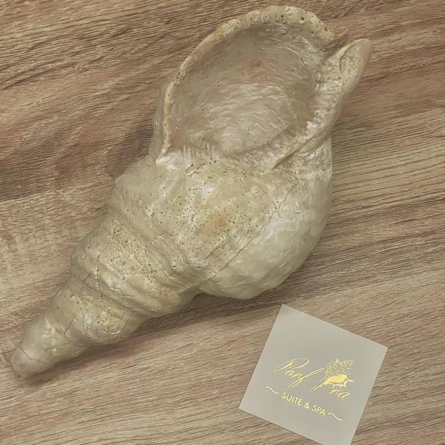 Porfyra Suite 1 Skála 외부 사진